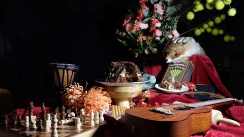 Herbstliches Stilllebenshooting 5A