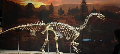 Plateosaurus