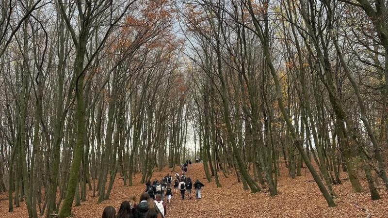 3ACD auf der Jubiläumswarte