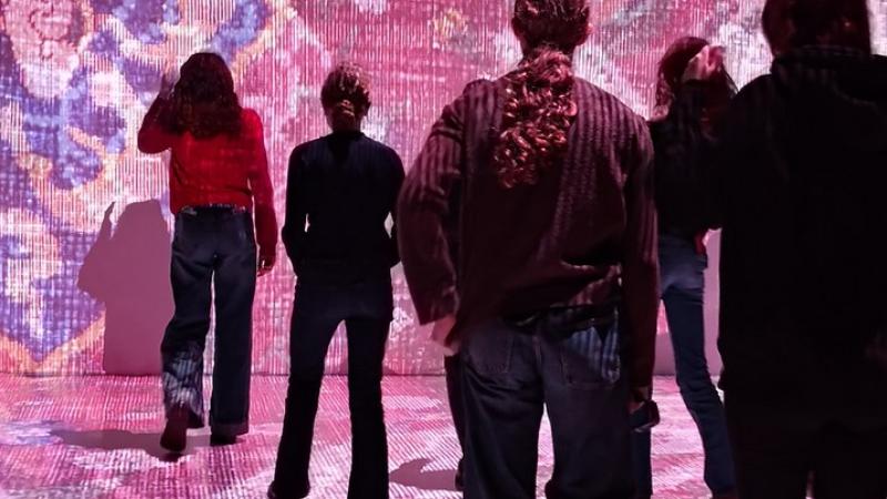 5D gewinnt 2. Preis beim Citizen Science Award