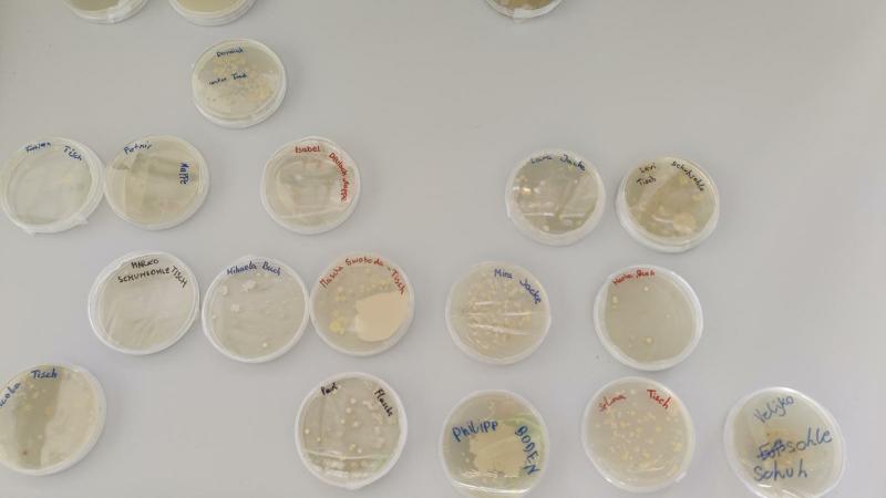 2C im Zentrum für Mikrobiologie
